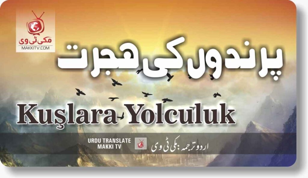 Kuslarla Yolculuk Episode 25 In Urdu Subtitles